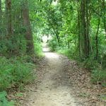 naturewalk