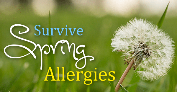 Survive Spring Allergies